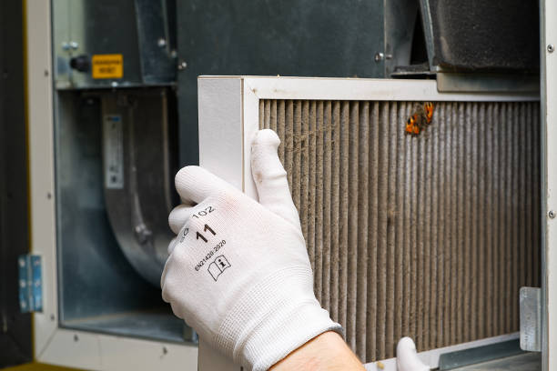 Best Affordable Air Duct Cleaning  in Mackinaw, IL